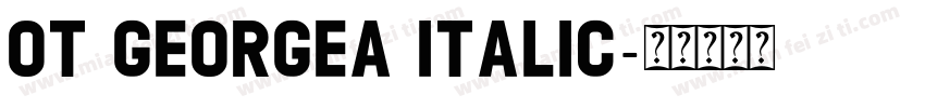OT GEORGEA Italic字体转换
